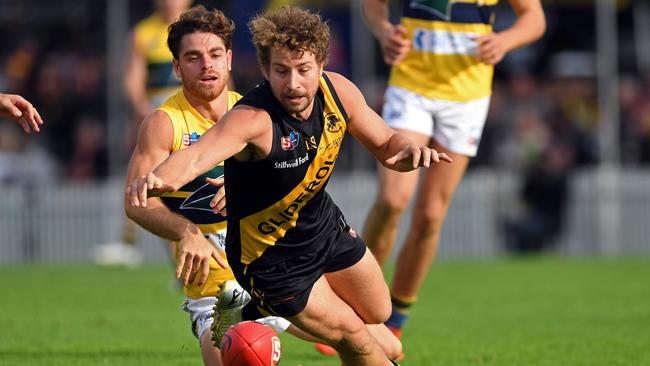 Glenelg and its ball magnet Matthew Snook have their eyes on the prize. Picture: Tom Huntley