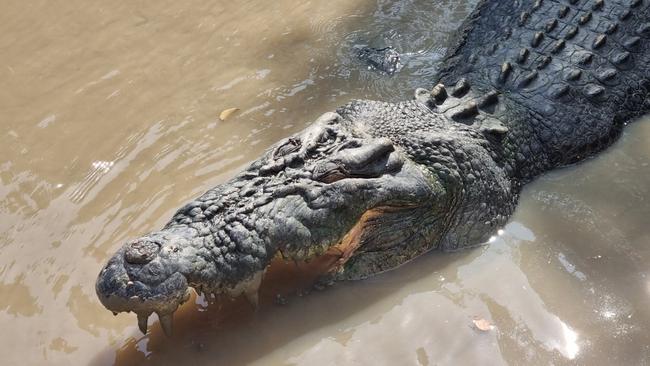 There's a lot more to do in the Top End than facing apex predators. Picture: Kirrily Schwarz