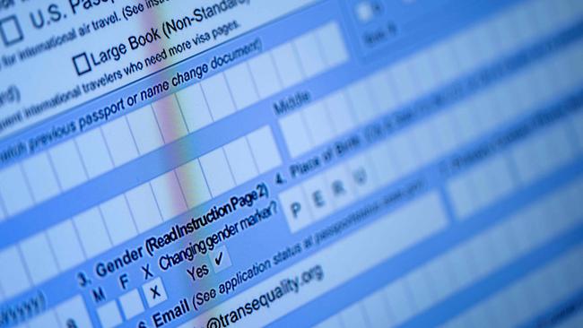 A partly completed US passport application, with an ‘X’ gender marker, is seen on a computer monitor. Picture: AFP