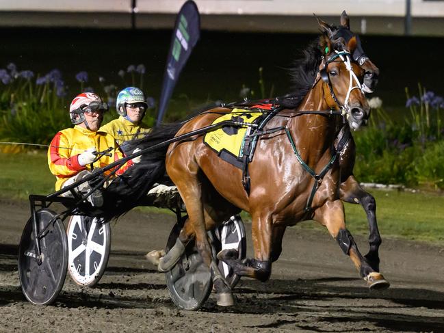 Queen Elida storms to victory in the first qualifying round of the 2024 Inter Dominion at Newcastle for trainer Brent Lilley and driver Chris Alford. Picture: HRNSW,