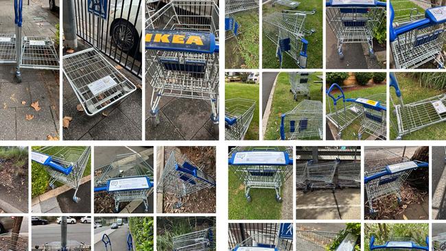 Wendy Bird collected over 40 IKEA trollies around the Rhodes area, but had to stop when she realised the mammoth task and amount. Picture: Supplied