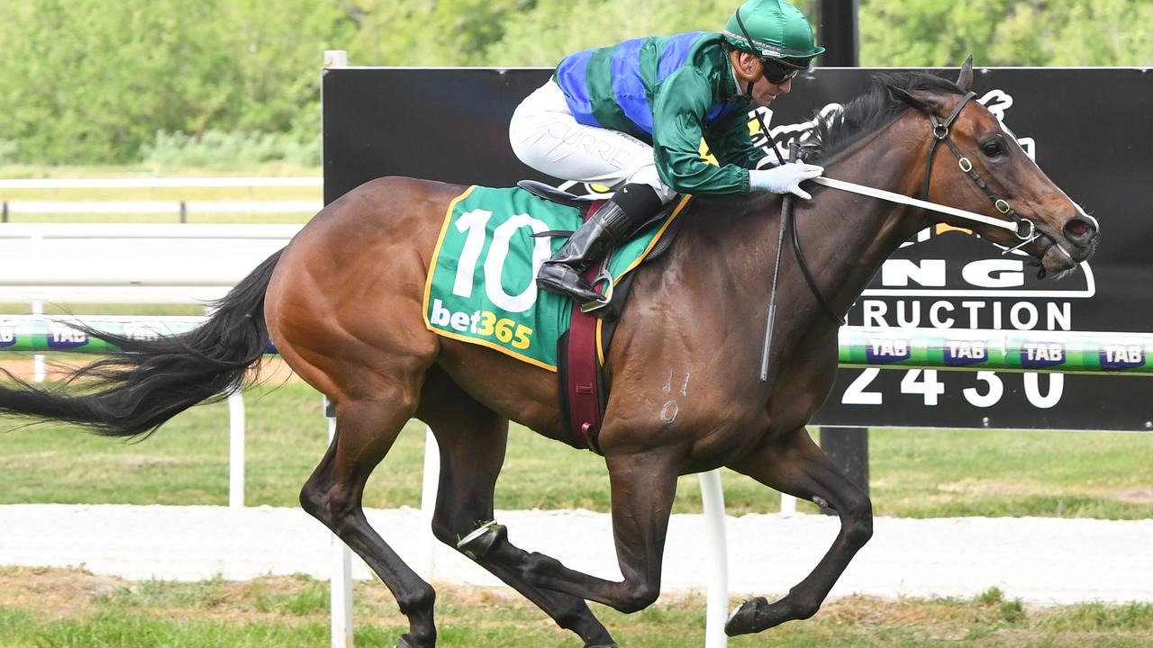 Racebook: Gilbert Gardiner’s horses to follow and forgive from Caulfield