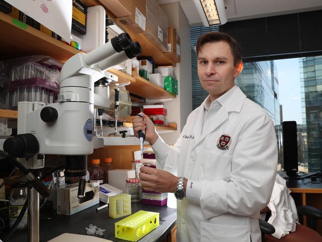 Anti-ageing researcher Professor David Sinclair from the University of NSW and the Department of Genetics at Harvard Medical School. Picture: Gary Ramage