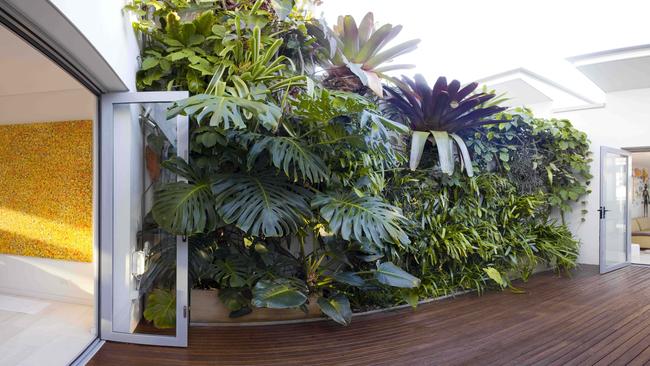 A greenwall provides a splash of life and colour between rooms.