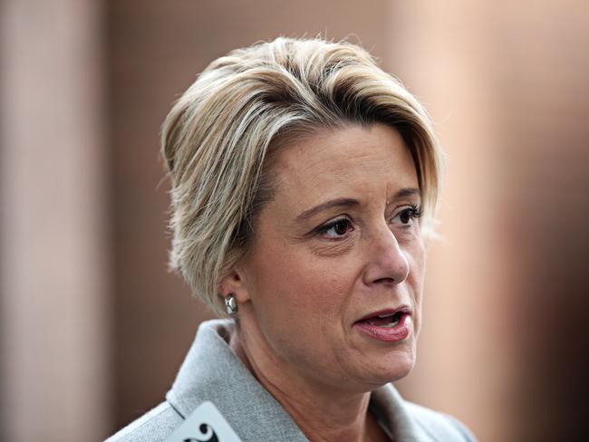 Senator Kristina Keneally speaking at a press conference held in Mona Vale Library on the 16th of June 2019. Photographer: Adam Yip