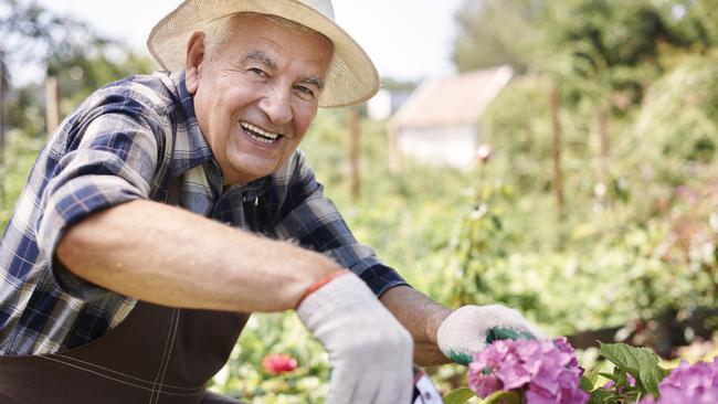 Gardening is a stress buster.