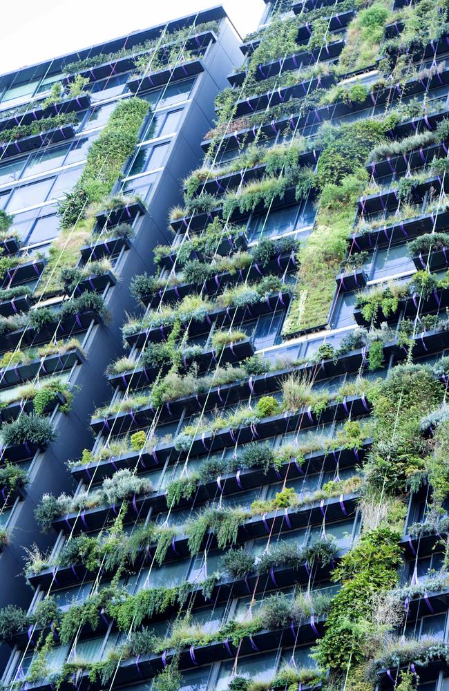 The planter boxes at One Central Park. Picture: Jeremy Piper