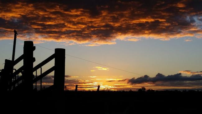 Michele Giffin's photo of a Lawrence sunset on her farm won this week's Cover Image competition.