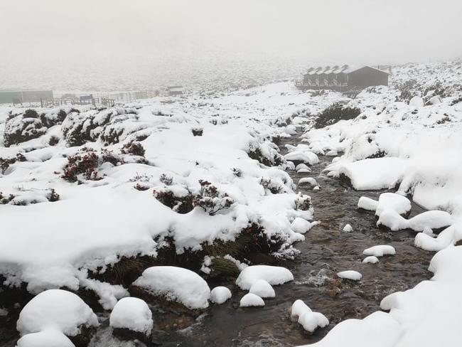 ‘Very wild’: Parts of Tassie see dumping of snow