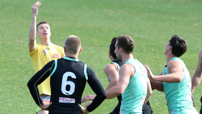 The umpires were throwing the ball up more quickly at stoppages. Pic: Michael Klein