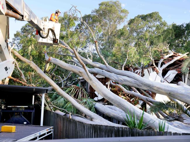 Major storm damage at Gallipoli Rd, Camp Hill. Photo Steve Pohlner