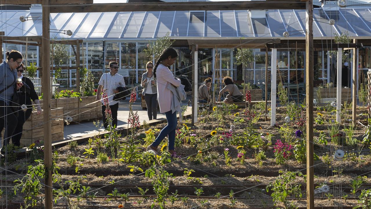 The Burwood Brickworks Shopping Centre in Melbourne’s east opened in 2019 with a new rooftop farm.