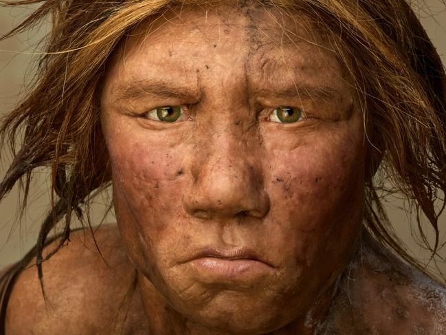 Neanderthal Wilma,was created using 43,000-year-old bones.Neanderthal IMAGES ARE FOR YOUR ONE-TIME EXCLUSIVE USE ONLY FOR MEDIA PROMOTION OF THE OCTOBER 2008 ISSUE OF NATIONAL GEOGRAPHIC MAGAZINE. NO SALES, NO TRANSFERS.Mandatory credit: Photo by Joe McNally ?2008 National Geographic