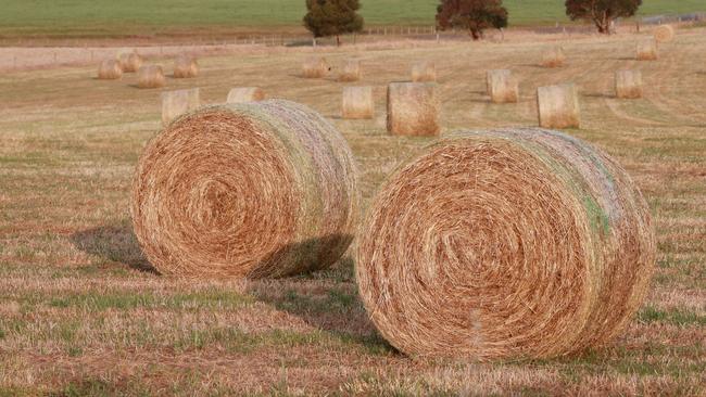 Good month: East coast lows have been kind to farmers in East Gippsland, providing above-average rainfall for the past three months. Picture: Andy Rogers