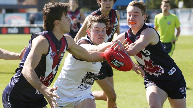 Tanner Bruhn (middle) tried fights for the ball in the NAB League last year. Picture: David Crosling