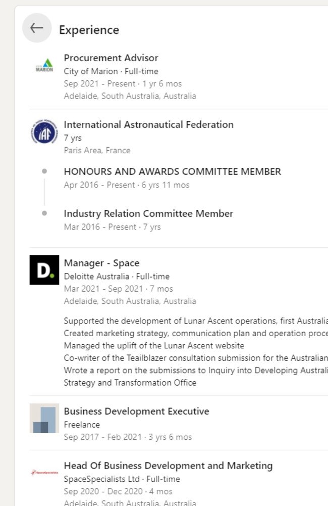 Marina Sologub’s employment history according to her LinkedIn profile.