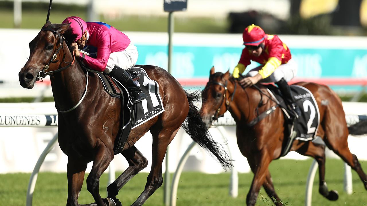 Melbourne Cup 2019: Trainer Mike Moroney saves Sound for big race at ...