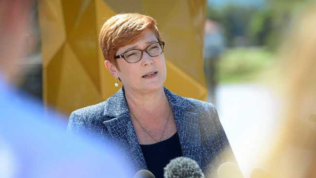 PITIFUL: What was Marise Payne thinking? Picture: Chris Ison ROK300418cdefence3