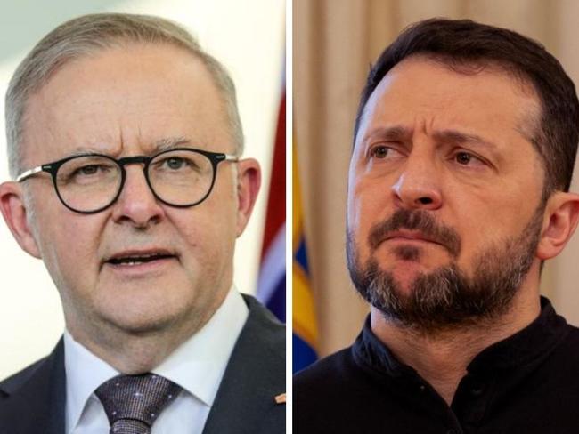 Albanese and zelensky split thumb