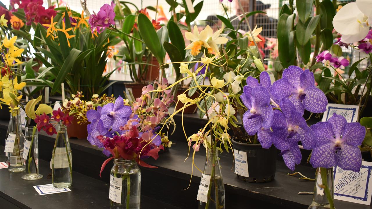 Bowen Orchid and Foliage Society members contributed to a stunning display in the Bowen Show pavilion. Picture: Kirra Grimes