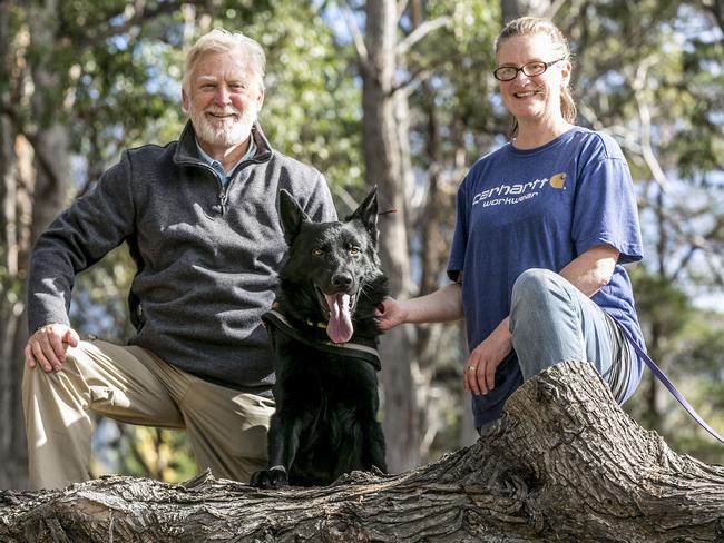 Fonzie the dog – with Steve Austin and owner-handler Melanie Kelly – is specially trained to find a particular weed noxious and invasive to Tasmania. Picture: Eddie Safarik