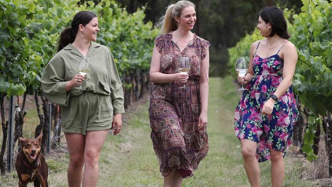 Hunter Valley Wine and Tourism Association chief Amy Cooper plans to use a grant to help the local industry recover after it was ravaged by bushfires. Picture: David Swift