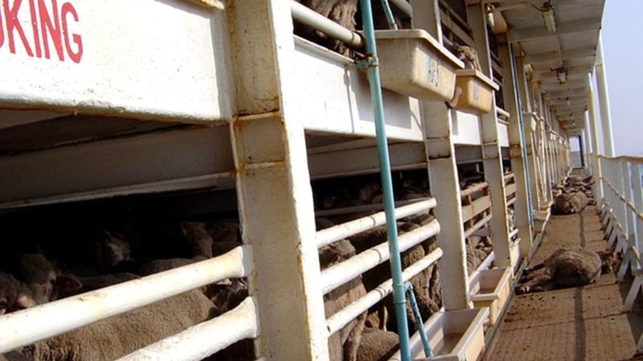 Australia will ban live sheep exports from May 2028