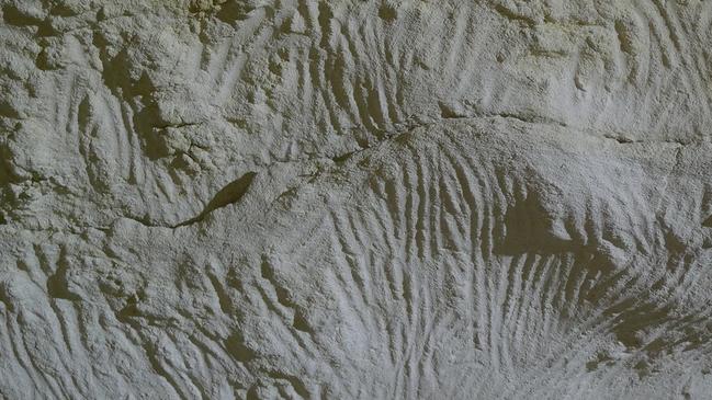 A section of wall within the 40,000-year-old Koonalda Cave in South Australia.