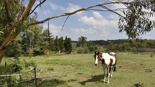 Lane Cove Rd where there are plans to rezone parts of Ingleside for housing.