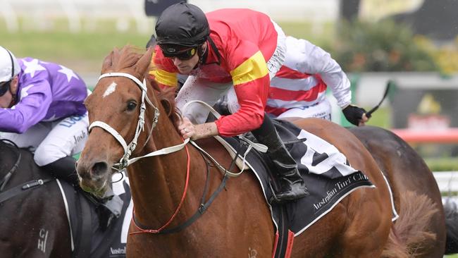 I Am Serious has good form around top Godolphin import Avilius. Picture: AAP