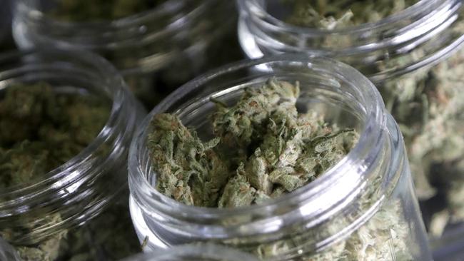 FILE- In this March 22, 2019 file photo, marijuana buds are seen in prescription bottles after being sorted at Compassionate Care Foundationâ€™s medical marijuana dispensary in Egg Harbor Township, N.J. Most of the nearly 700 different groups that filed 2,163 marijuana business applications in Missouri are not from the state. Some Missourians are concerned that ownership of the industry will disproportionately go to firms outside Missouri. (AP Photo/Julio Cortez, File)