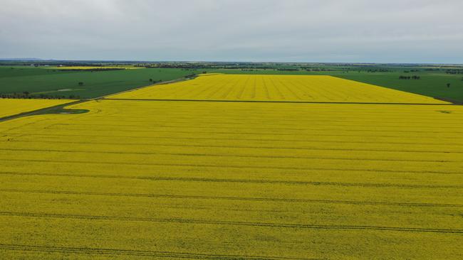 The Douglas family have held the 628ha Dundonald farms for more than 120 years.