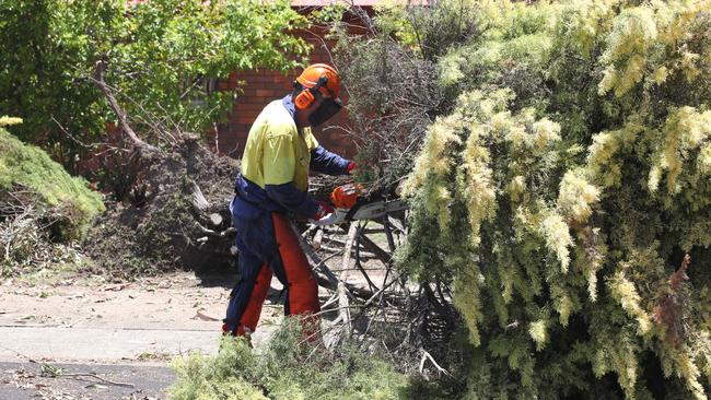 A council workman clears fallen trees along Discovery Drive. . Picture Glenn Hampson