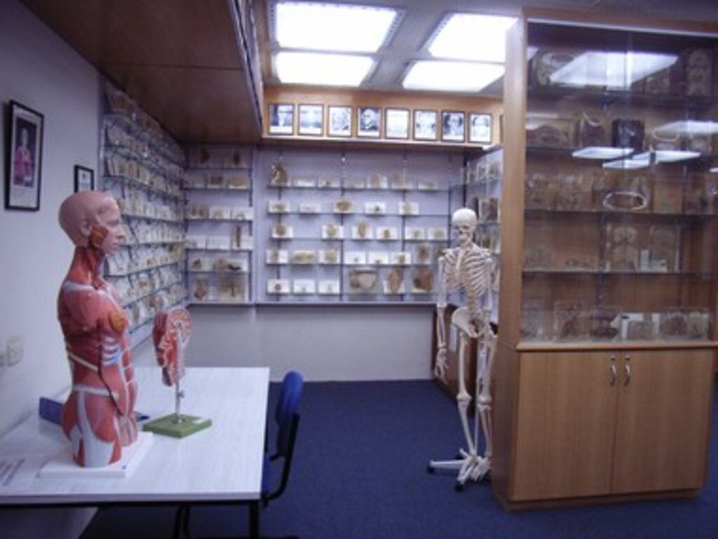 The RA Rodda Museum of Pathology at the School of Medicine in Collins Street, Hobart. Picture: University of Tasmania/file image