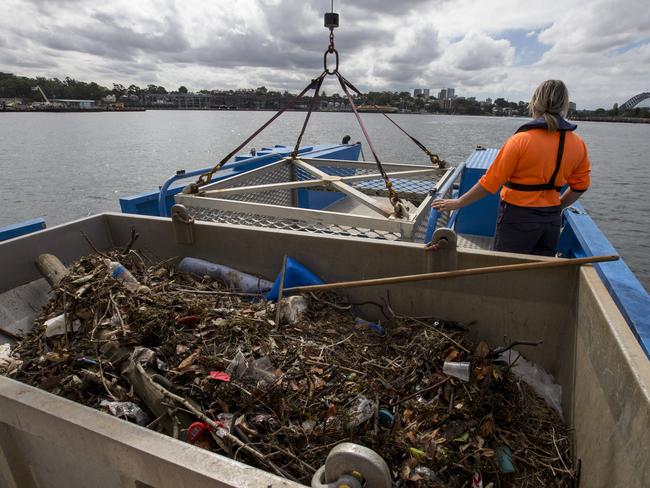 Maritime environmental services officer Jaime Darby on Sydney Harbour. Picture: Damian Shaw