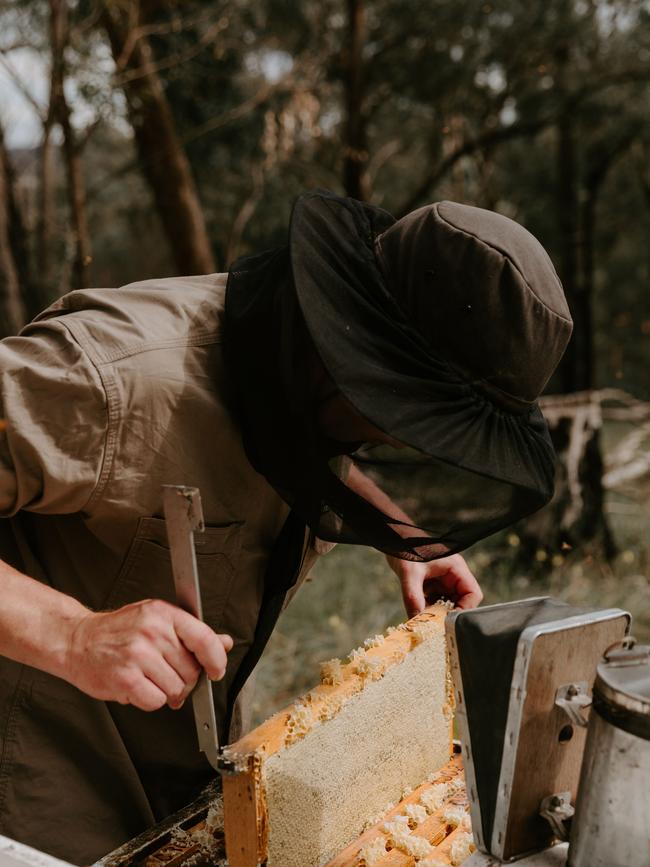 Ben inspecting some of his hives. Picture: Hannah Gilbert