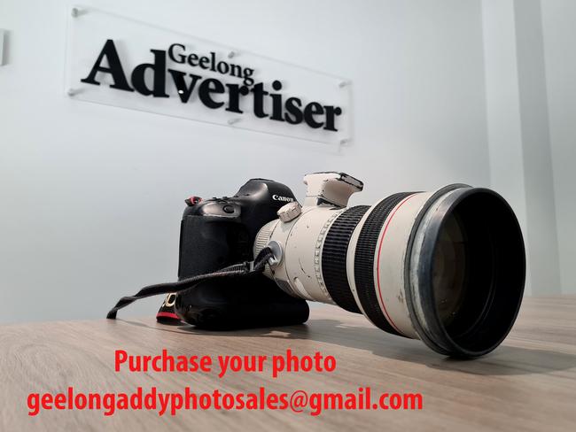 To purchase your photo email geelongaddyphotosales@gmail.com