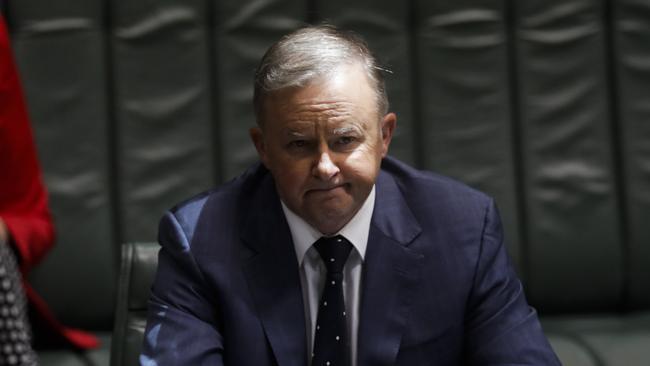 Tough year in opposition … Labor leader Anthony Albanese. Picture: Sean Davey