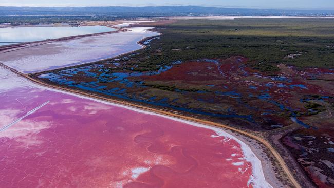 Drone footage of dead and dying mangroves and saltmarsh at St Kilda, where super salty water can be seen in evaporation ponds and some brine is crystallising to white salt. Picture: Alex Mausolf