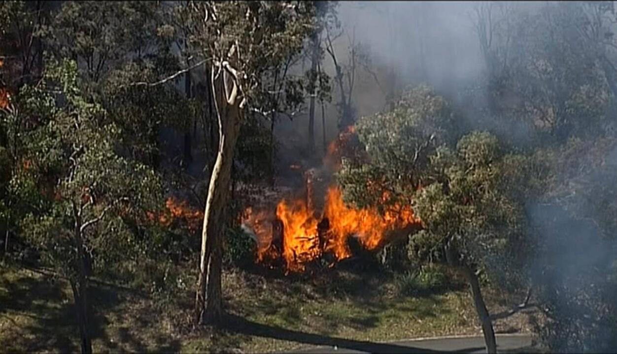 Out-of-control Qld bushfire prompts evacuations