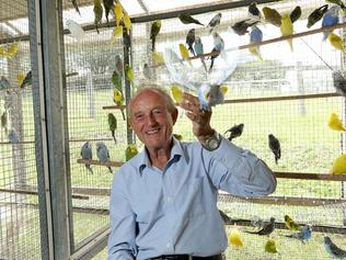 When SA was the world’s gateway to the humble budgie | The Advertiser