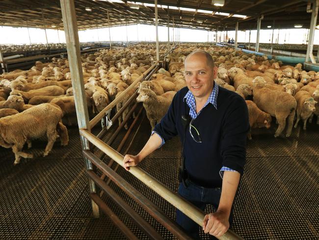 Farron Fletcher has been slaughtering sheep according to Muslim traditions since 1974. Halal sheep exports are worth $2 billion alone. Picture: Toby Zerna