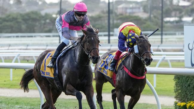 Precious Charm can enhance her already impressive winning strike rate when she heads to Saturday’s Sandown Hillside meeting. Picture: Racing Photos via Getty Images.