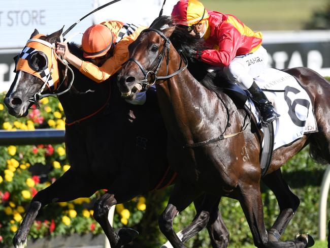 Levendi ridden by Mark Zahra wins race 7, the Harrolds Australian Derby during The Championships Day 1 at Royal Randwick Racecourse in Sydney, Saturday, April 7, 2018. (AAP Image/David Moir) NO ARCHIVING, EDITORIAL USE ONLY