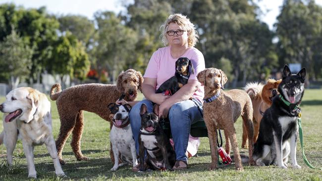 Frascott Dog Park receives extra shade trees at $5000. Pic Tim Marsden