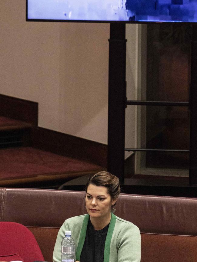 Senator Sarah Hanson. Picture: NCA NewsWire / Gary Ramage