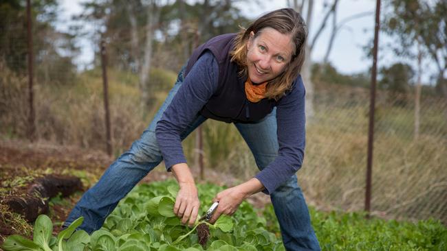 Jacki Hinchey from Blue Dog Farm at Ocean View. Photo: Dominika Lis