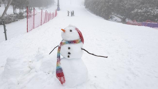 Victorians will soon pay more for a day at the snow at ski fields across the state.