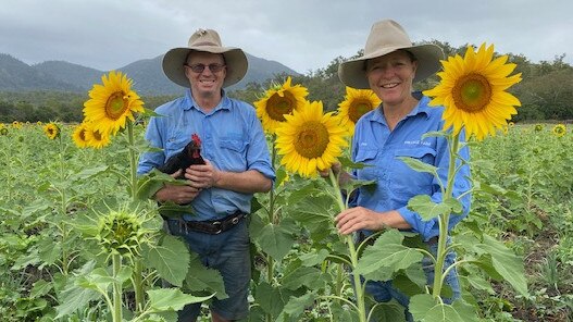 Freckle Farm owners Rob Bauman and Deb McLucas will open up their farm walks for the first time since coronavirus, on the weekend of October 10-11. For the first time the Eton farm tours will include sunflowers.