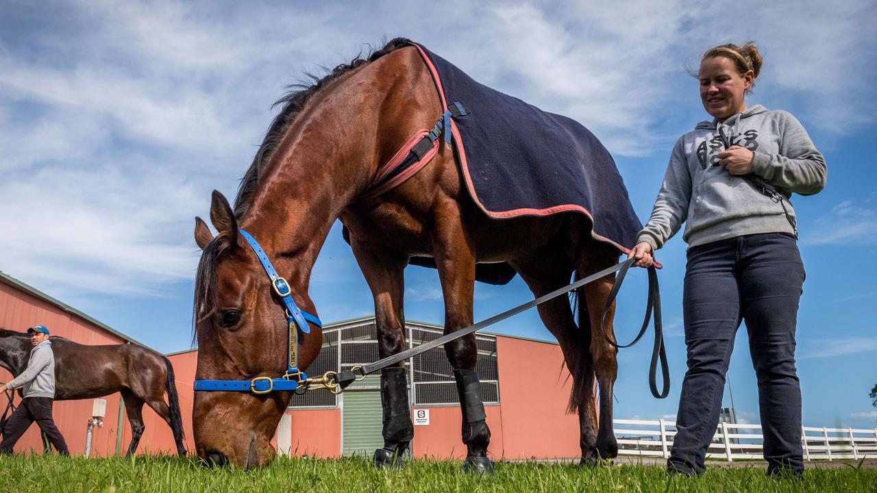 Santa Ana Lane at Freedman racing stables with strapper Louise Flynn.